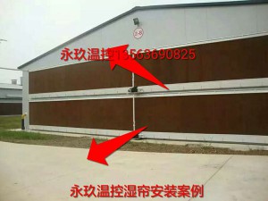 XVDEVIOS免费安装安裝現場