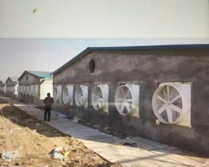 XVDEVIOS成人免费视频安裝現場