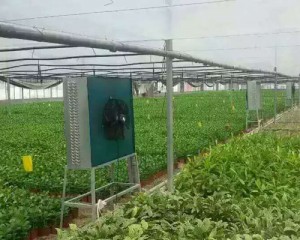 XVDEVIOS成人免费视频安裝現場